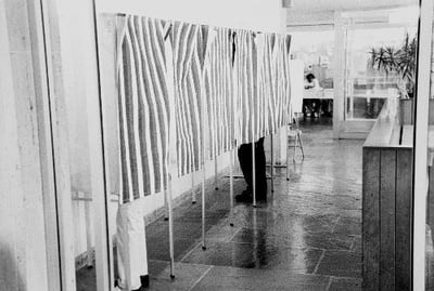 Cover image for At the Polls, Usual Mix Of Apathy and Interest