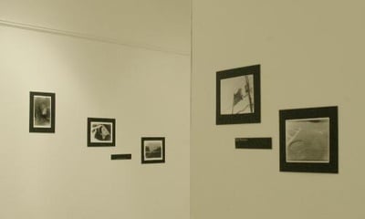 Cover image for PICTURE PERFECT: 
