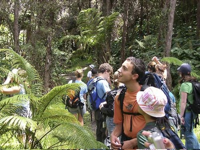 Cover image for Students Say ‘Aloha,’ For Free