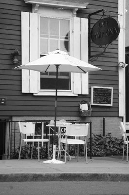 Cover image for Company in Cambridge: A Pamplonan’s Coffee-Flavored Life 