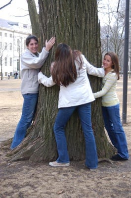 Cover image for Celebrate the Earth, Come On!
