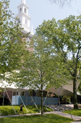 Cover image for  