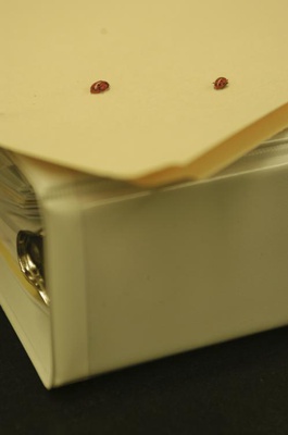 Cover image for What’s Black and Red and Crawling All Over?