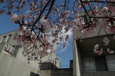 Cover image for Unnamed photo