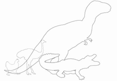 Cover image for Unnamed photo