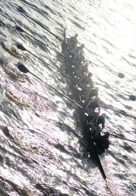 Cover image for  