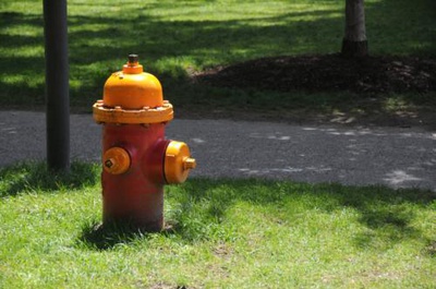 Cover image for Unnamed photo