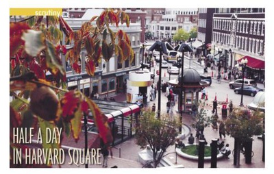 Cover image for  