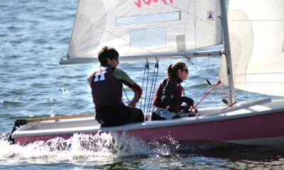 Cover image for  