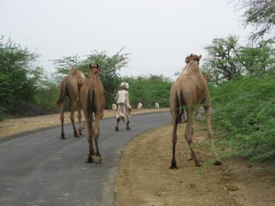 Cover image for Unnamed photo