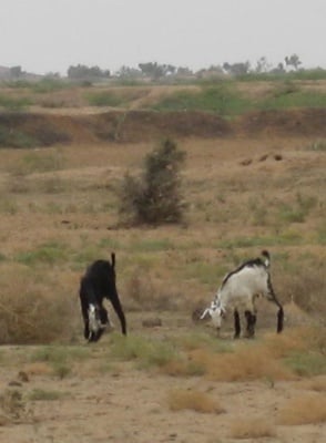 Cover image for Unnamed photo