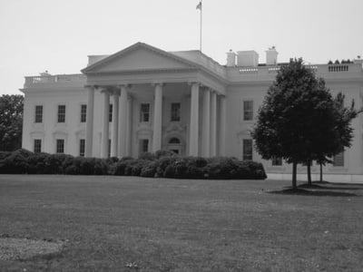 Cover image for  