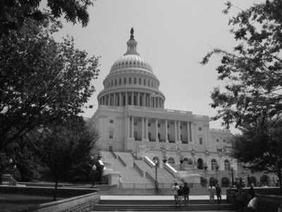Cover image for  