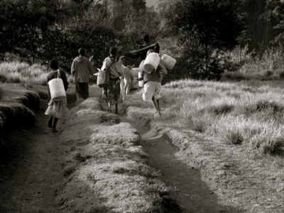 Cover image for  