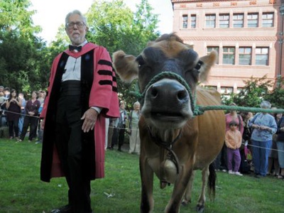 Cover image for  