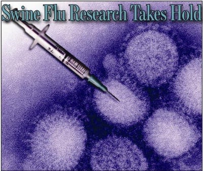 Cover image for  