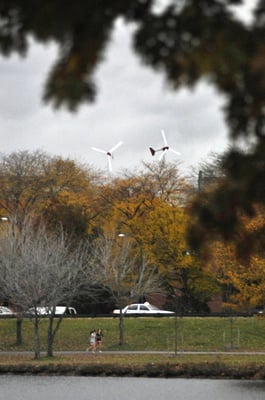 Cover image for Harvard Signs Wind Power Contract