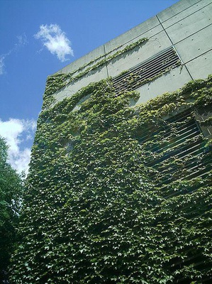 Cover image for Around the Ivies Plus
