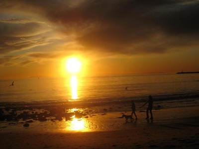 Cover image for 