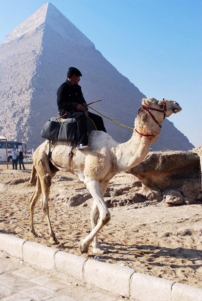 A local resident watches on as tourists take photographs in Egypt.