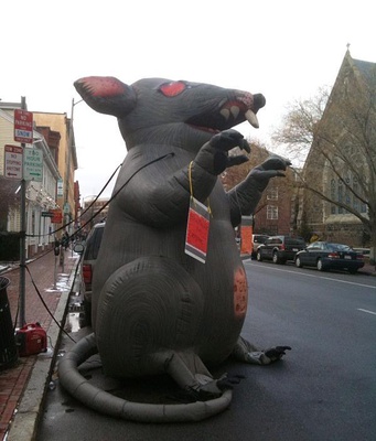 Cover image for Ratatou-free Healthcare
