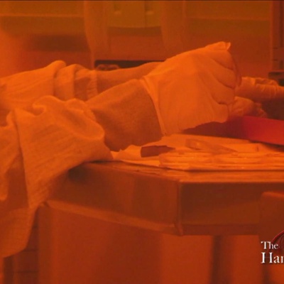 Cover image for Lab Rat: Hamsa Sridhar ‘12