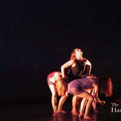 Cover image for Dancer's Viewpointe Preview