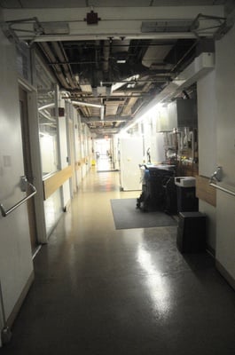 Cover image for MCB Move Out