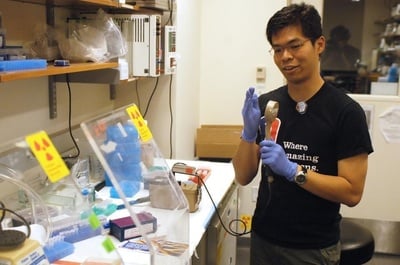 Cover image for Lab Rat: Cher Heang "Shawn" Low '11