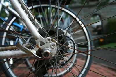 Cover image for 