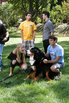 Cover image for LevFallFest