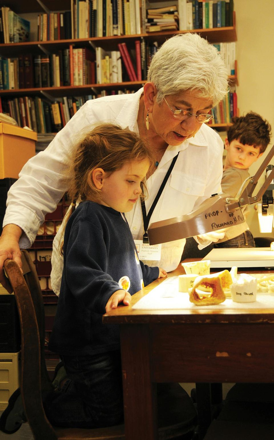 Visitors examine exhibits on display at the Peabody Museum's annual Zooarchaeology Laboratory Open House