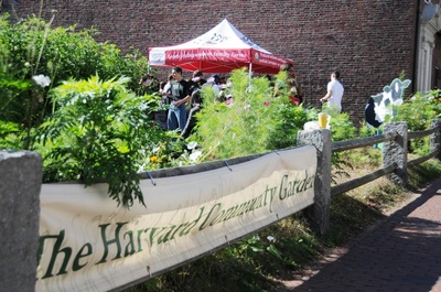 Cover image for A Harvard Garden Party