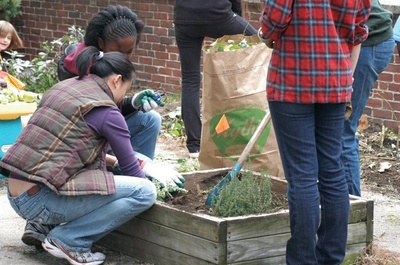 Cover image for Food Literacy Project, CitySprouts Collaborate on Area Gardens