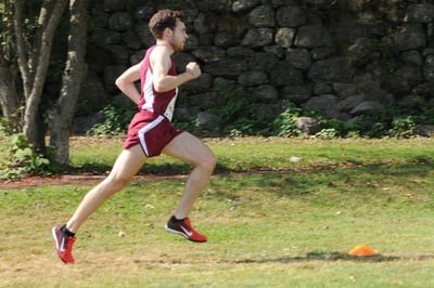Cover image for See Dan Run