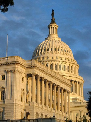 Cover image for Harvard on the Campaign Trail