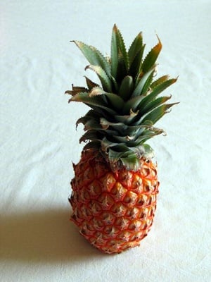 Cover image for 