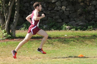 Cover image for See Dan Run