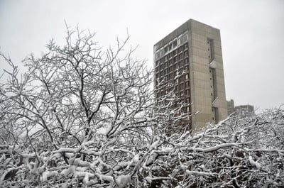 Cover image for Snapshots of the Snow