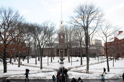 Cover image for Today in Photos (01/26/11)