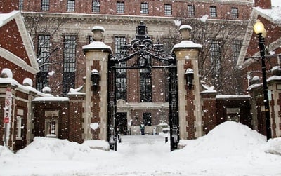 Cover image for Wintersession Activities for the Upcoming January Break