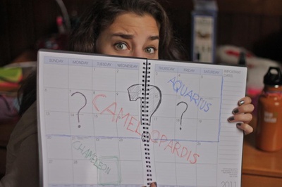 Cover image for Horoscopes!?
