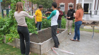 Cover image for Dining Halls Feature Community Garden Produce