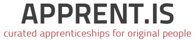 Cover image for The Apprentice, Harvard Style
