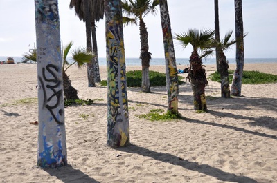 Cover image for Graffiti Trees