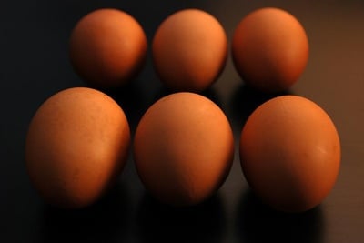 Cover image for Freshman Leads Petition for Cage-Free Eggs