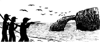 Cover image for 