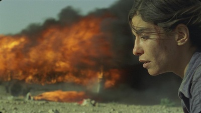 Cover image for The Bashful Oscar Nominee