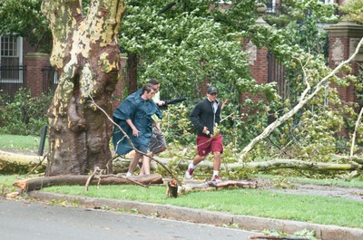 Cover image for 