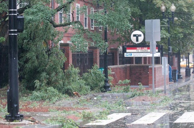 Cover image for 